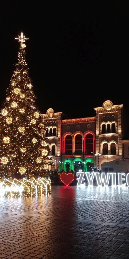 Domek "Igor" Nad Jeziorem Zywieckim W Zarzeczu Zarzecze  Εξωτερικό φωτογραφία